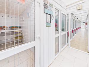 Cattery- click for photo gallery